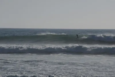 DSC_7069 (Large).JPG